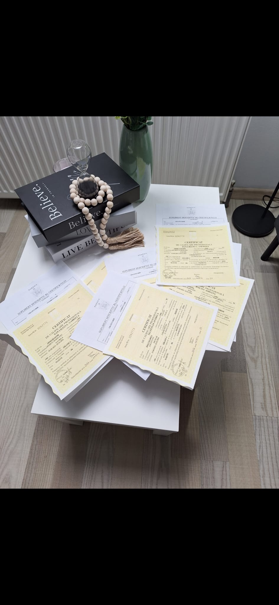 Diplome și certificări obținute în cadrul cursurilor